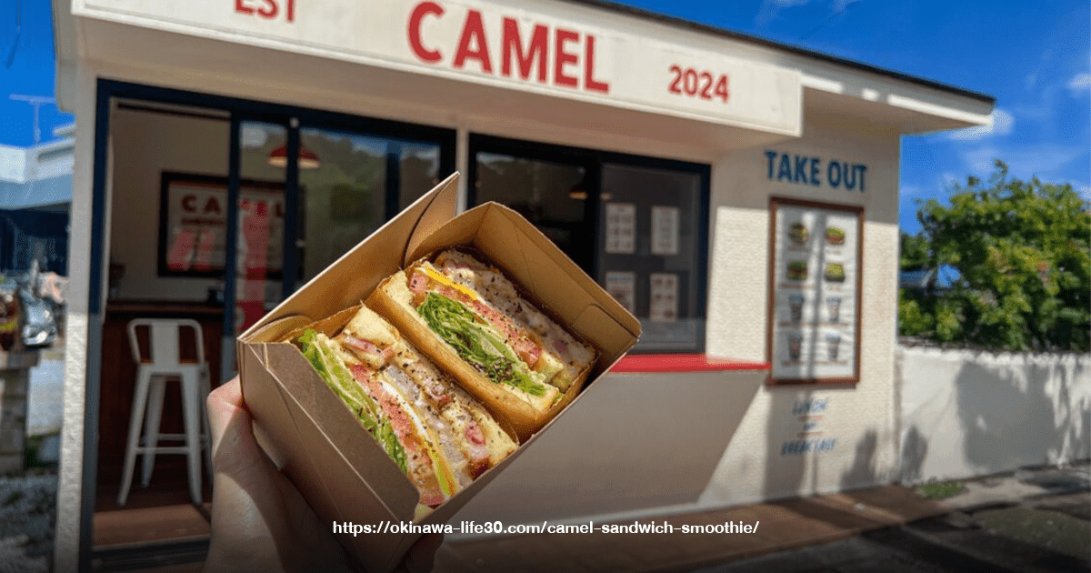CAMEL SANDWICH & SMOOTHIE