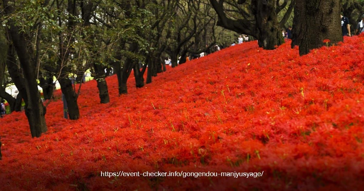 สวนสาธารณะกองเก็นโด