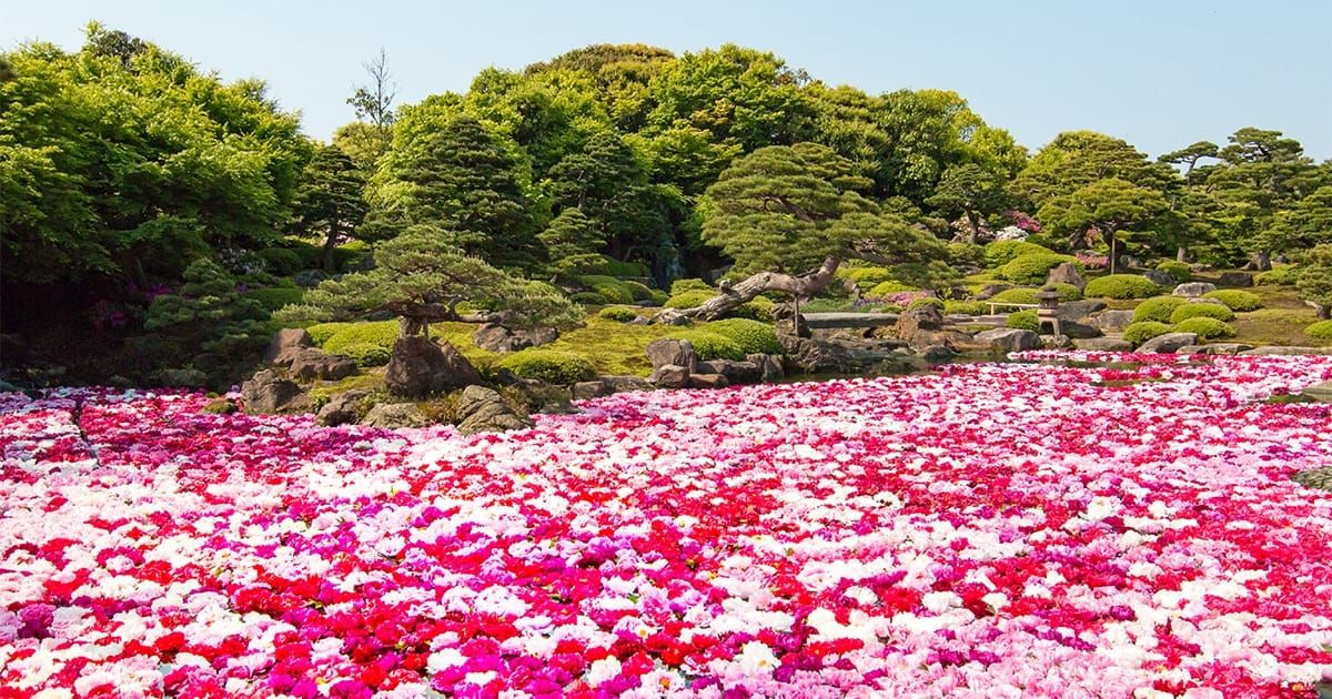 สวนยูชิเอ็น
