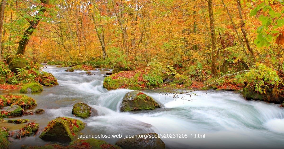 Oirase Stream
