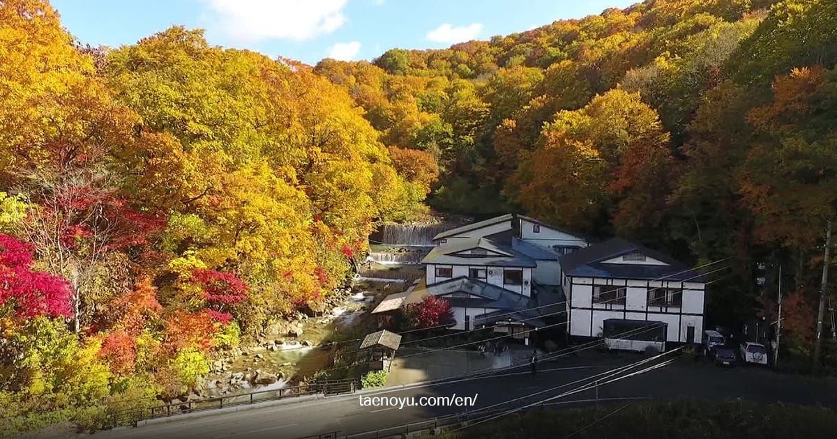 Tae No Yu Ryokan