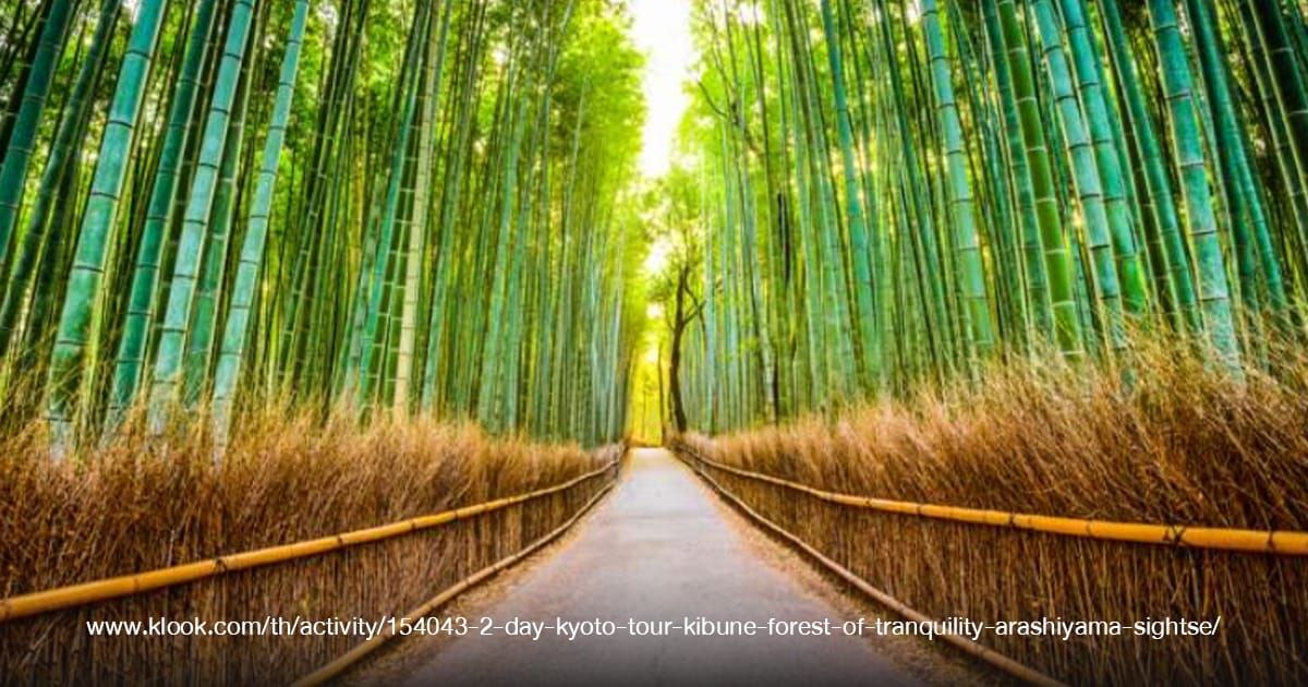 Arashiyama