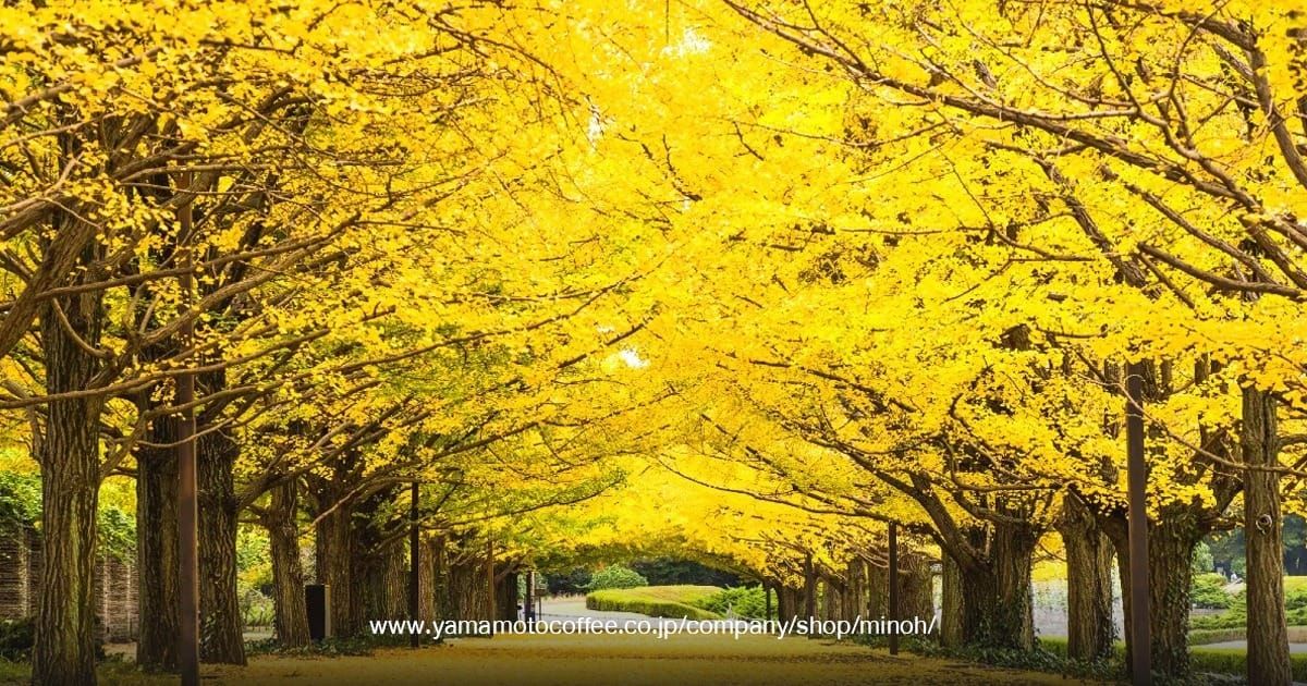 Showa Kinen Park