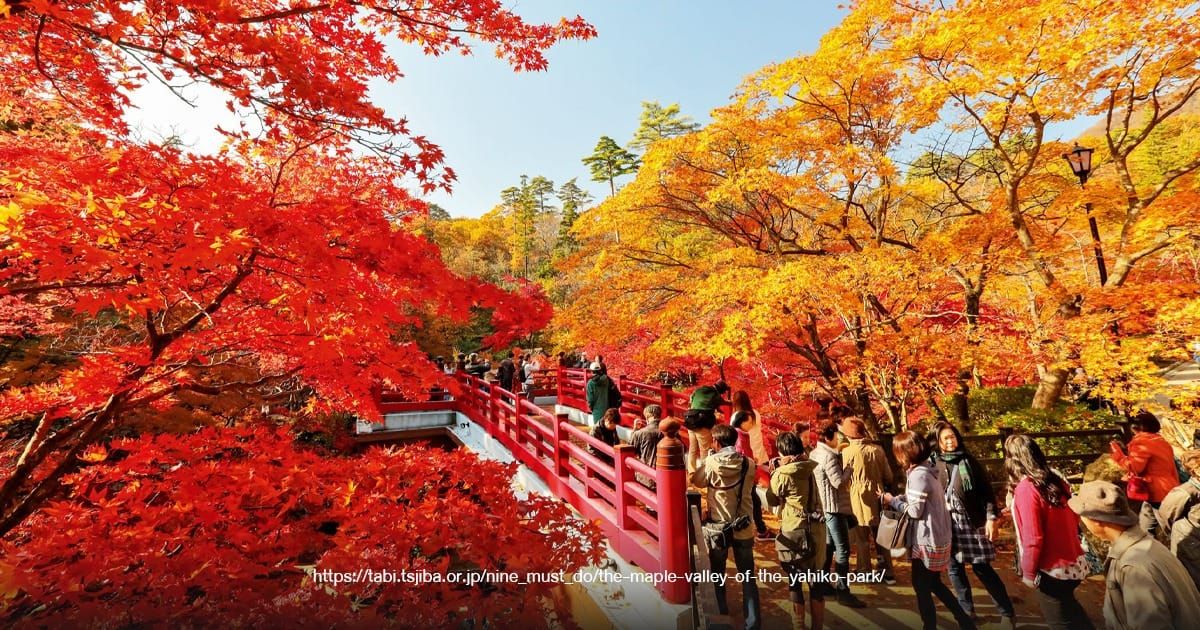 Yahiko Park