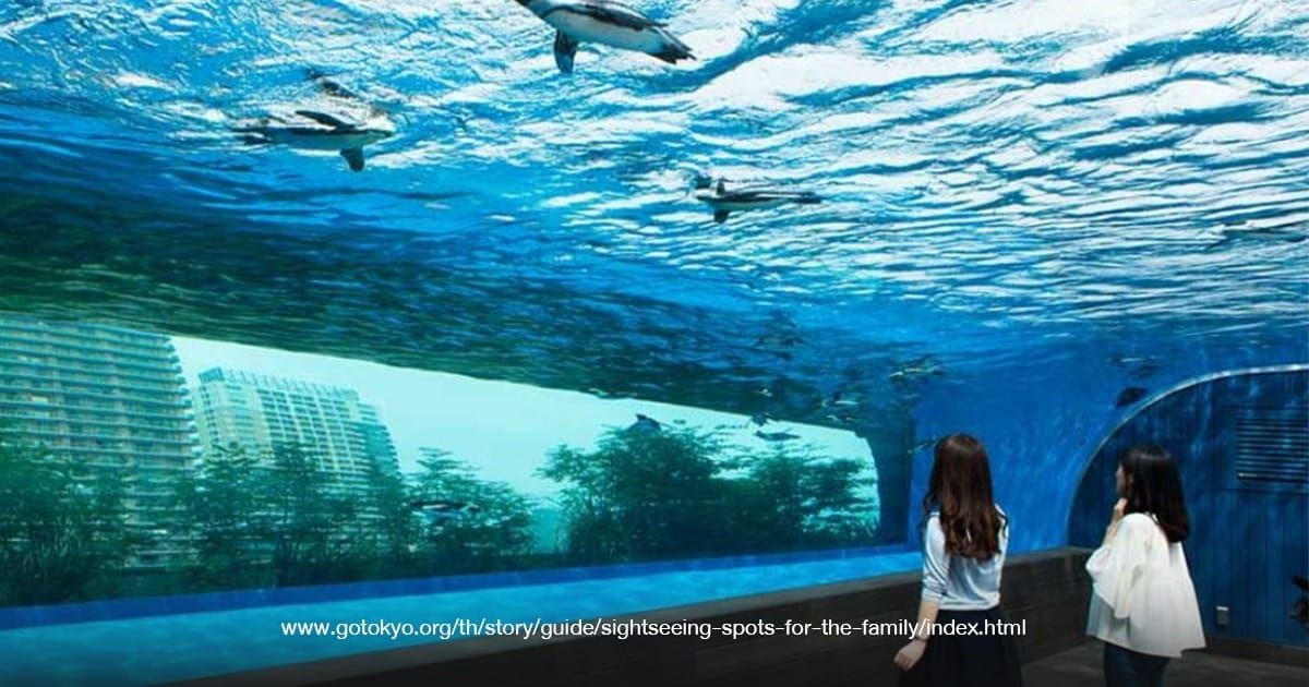 Sunshine Aquarium