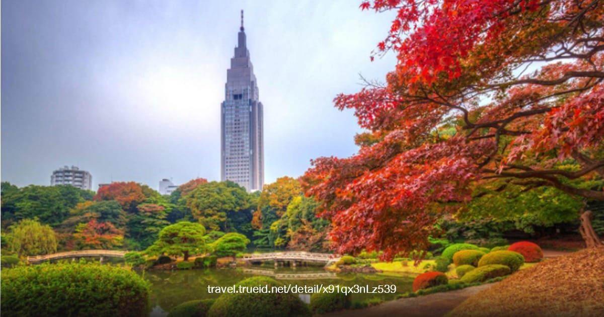 Shinjuku Gyoen