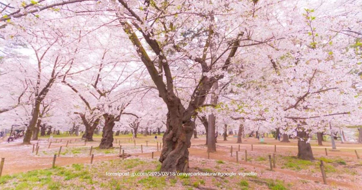 Omiya Park