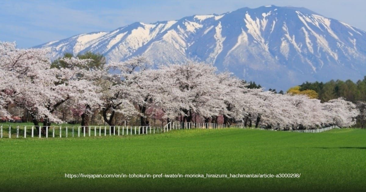 Koiwai Farm