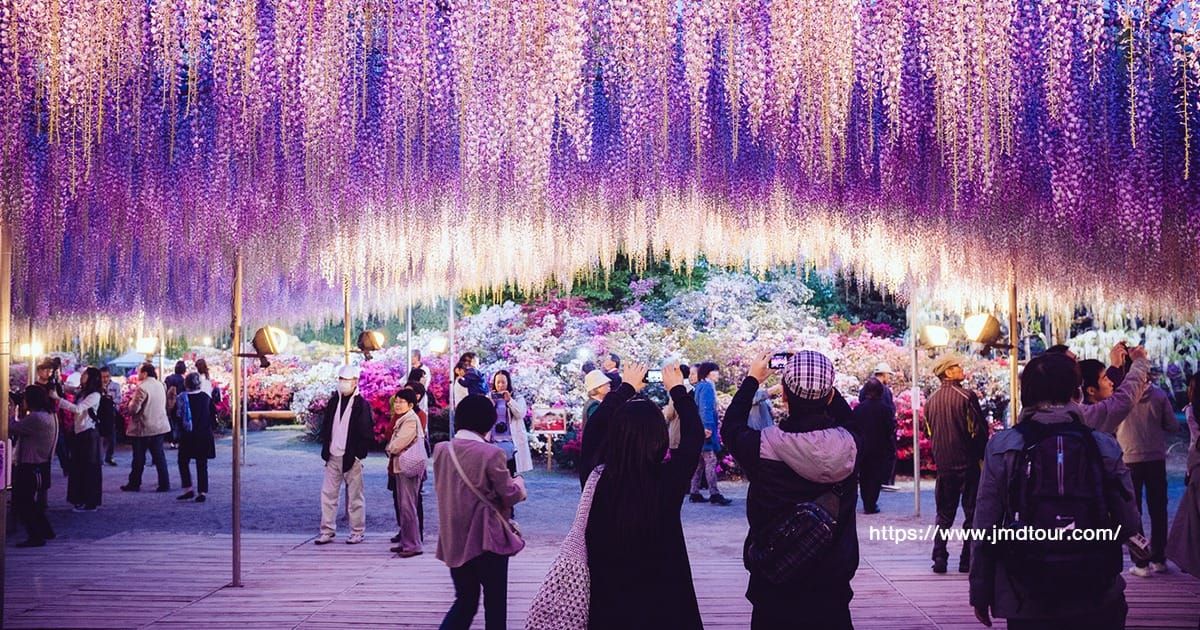 Ashikaga Flower Park