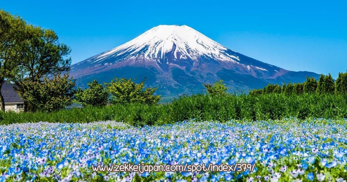 Kawatsura Strawberry Farm