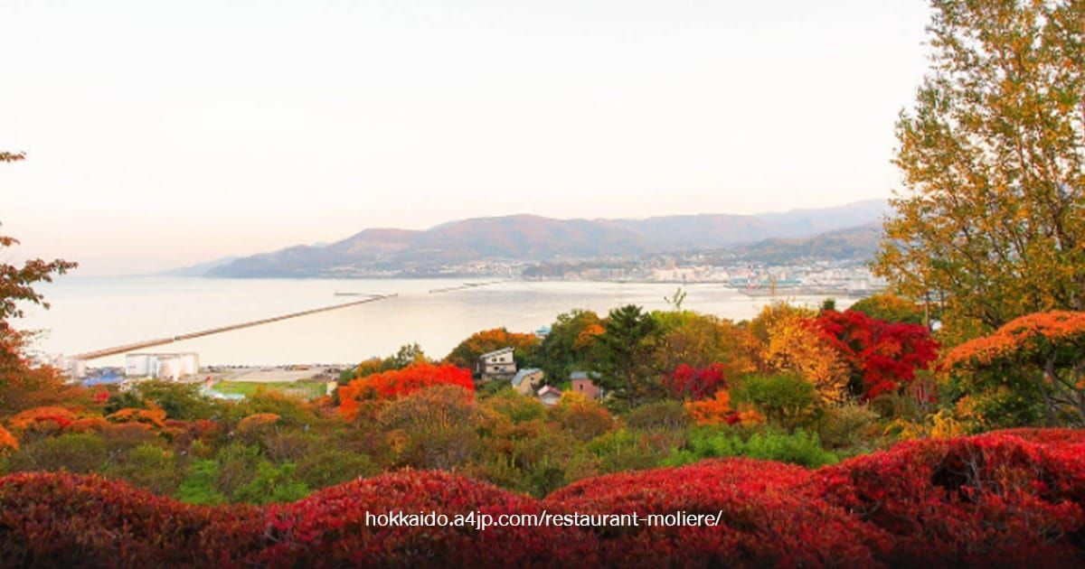 Temiya Park