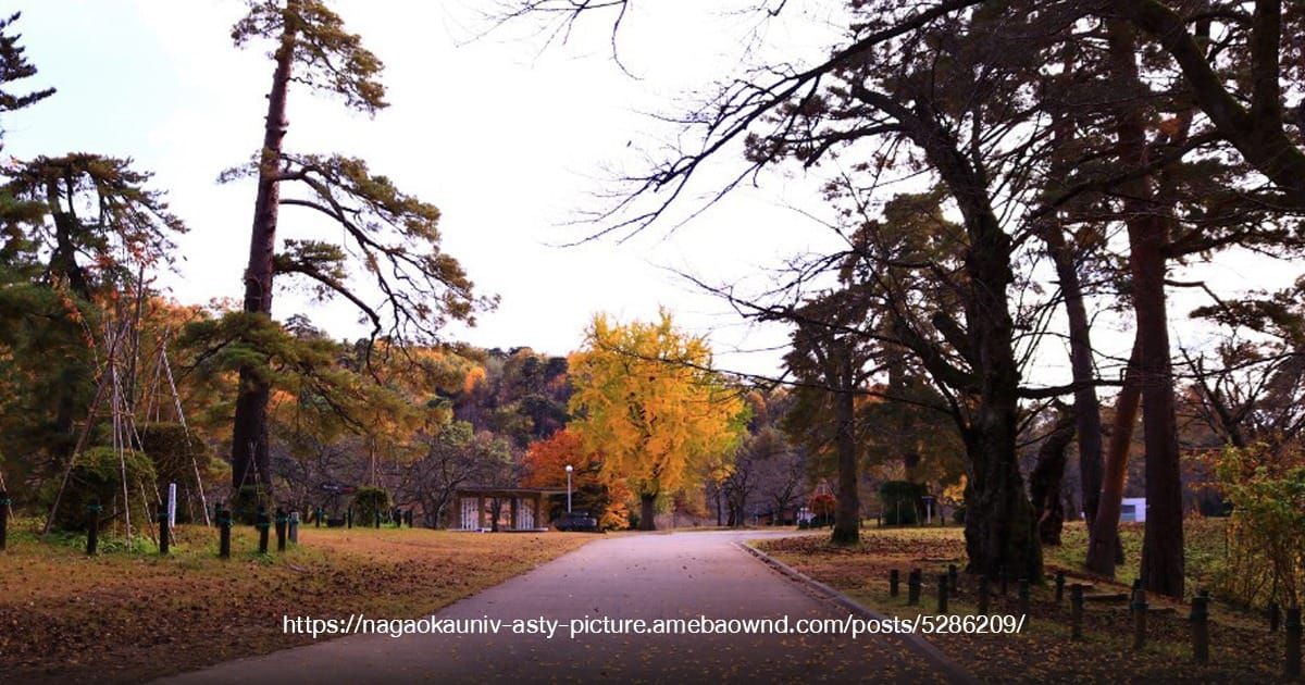 Yukyuzan Park