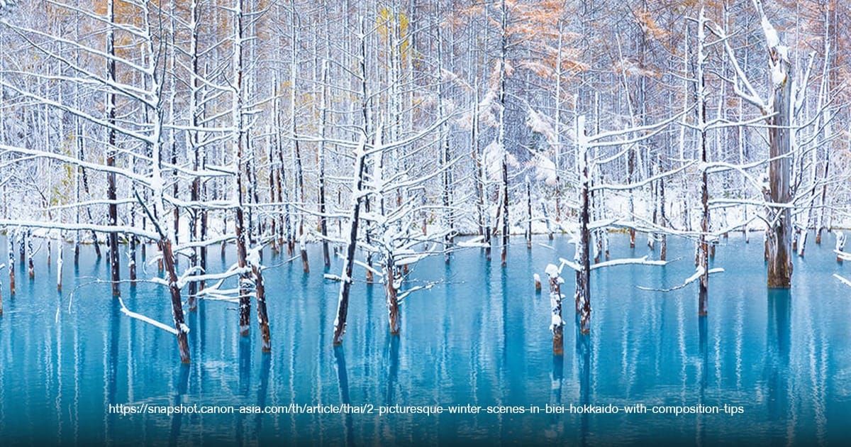 Shirogane Blue Pond