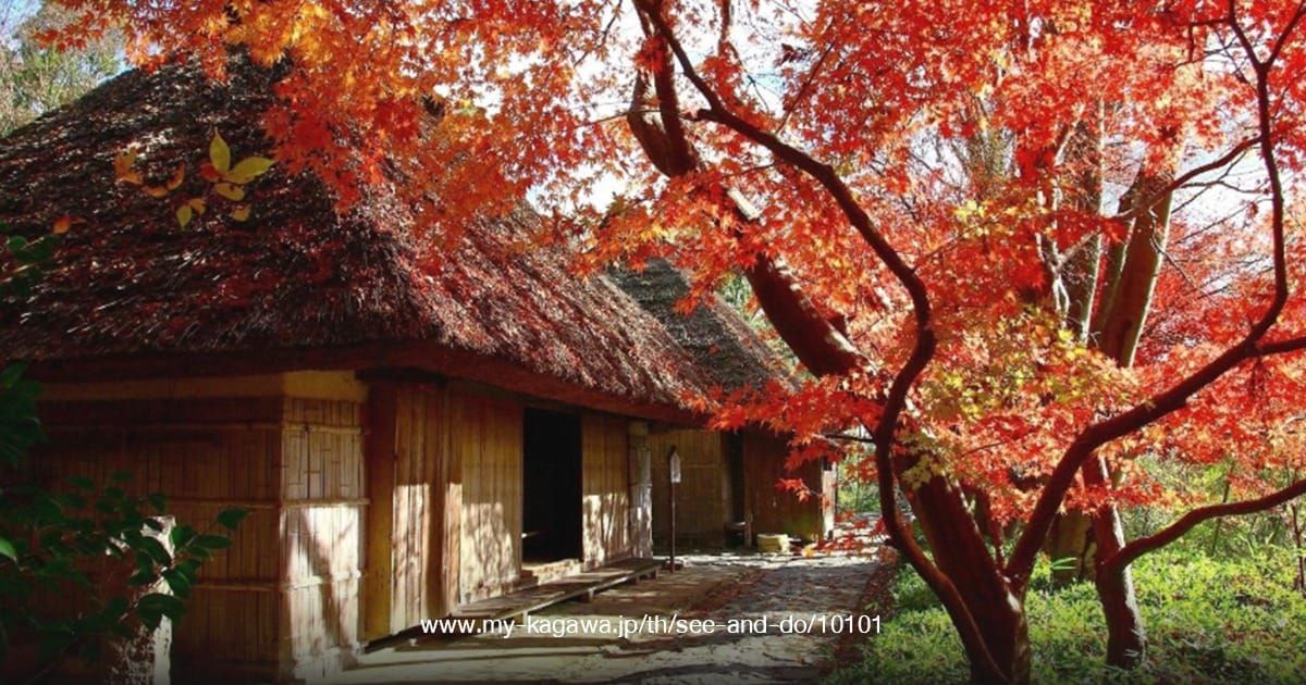 Shikoku Mura