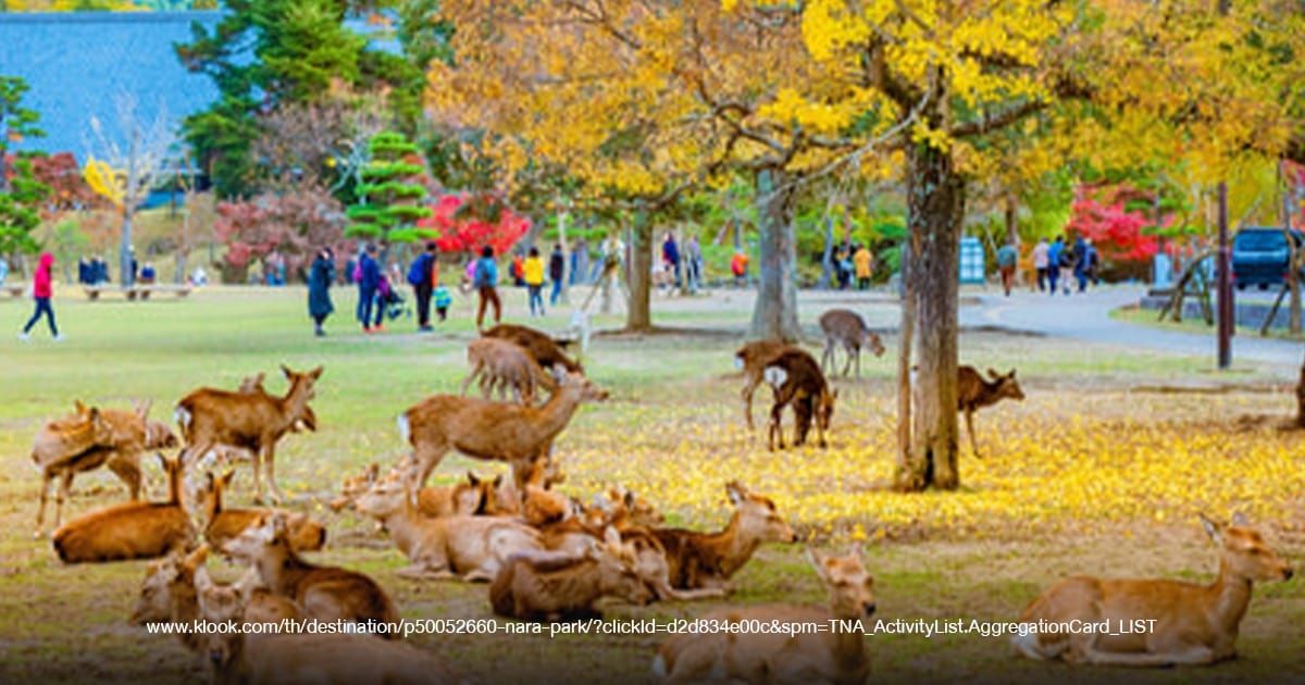Nara
