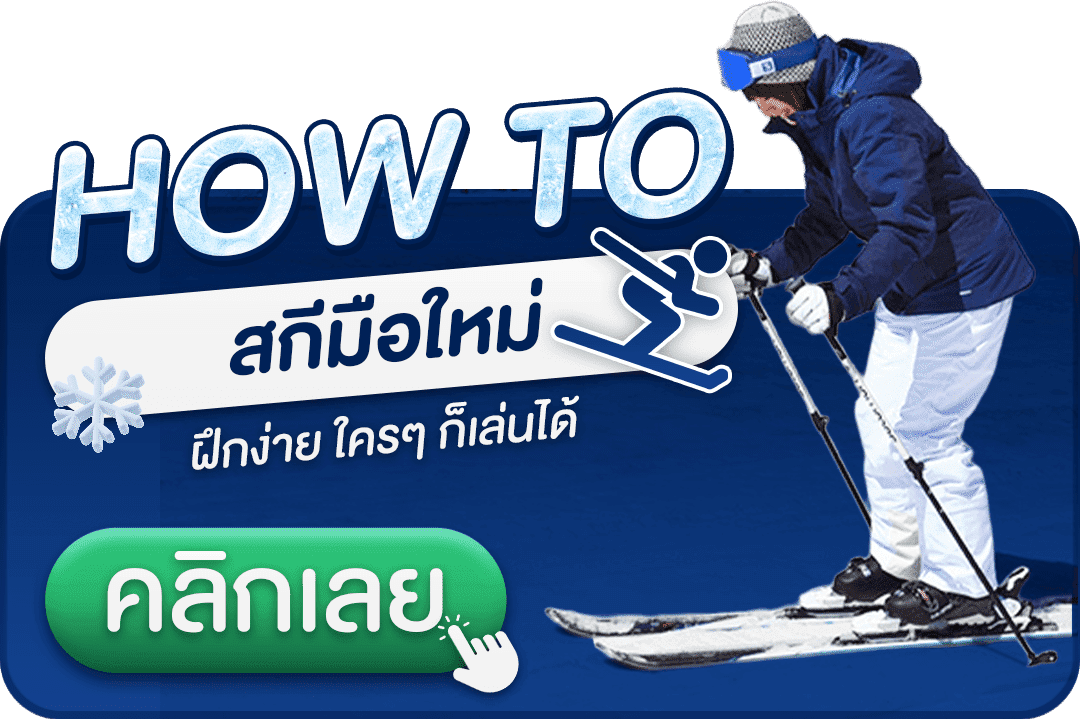 หิมะญี่ปุ่น