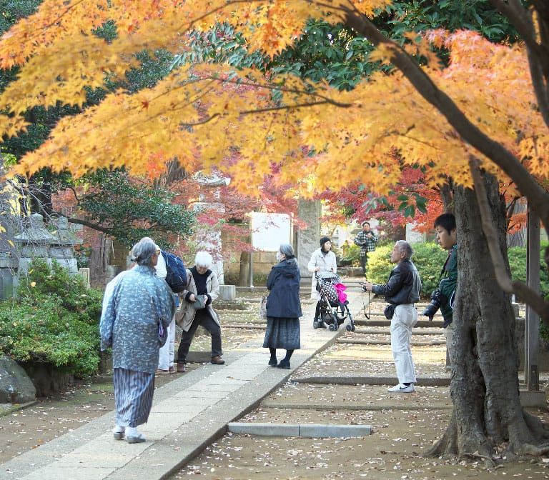 Kakunodate Samurai District