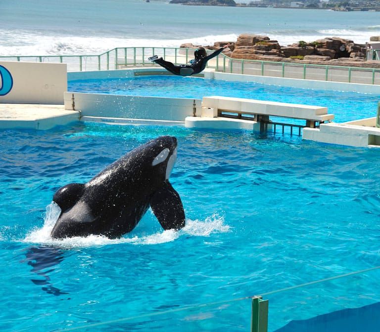 Kamogawa Sea World