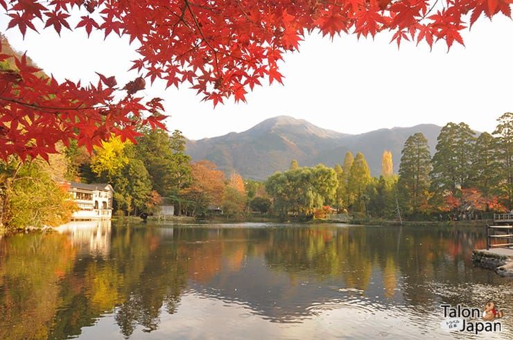 บรรยากาศช่วงฤดูใบไม้ร่วงที่ทะเลสาบคินริน Kinrin Lake