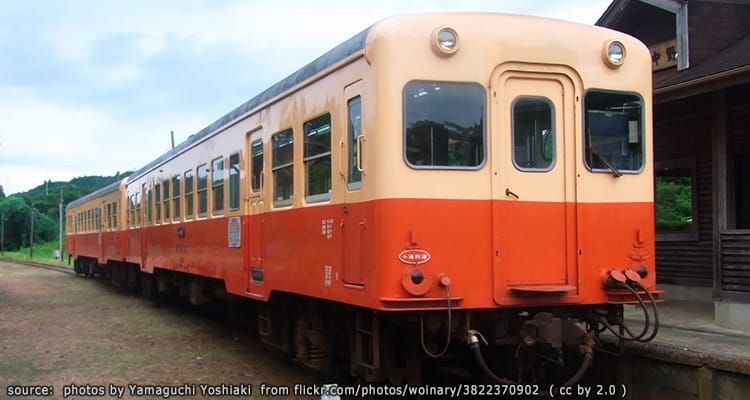 ทางรถไฟกลางทุ่งดอกไม้
