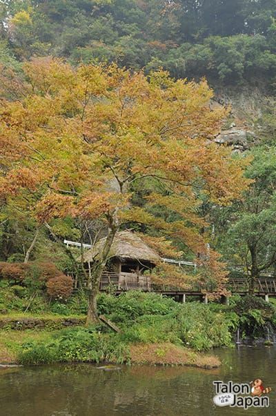 บรรยากาศระหว่างทางเดินที่ช่องเขาทาคาชิโฮะ Takachiho