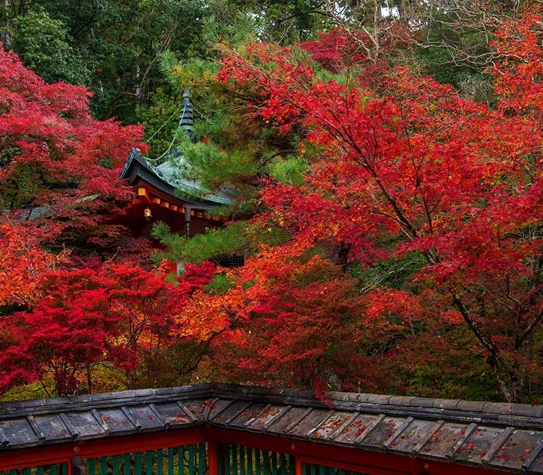 bishamon-do-temple