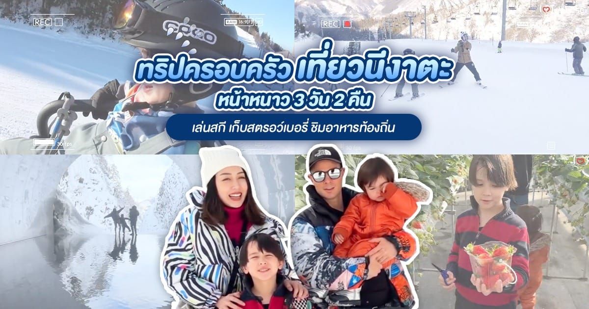 นีงาตะ