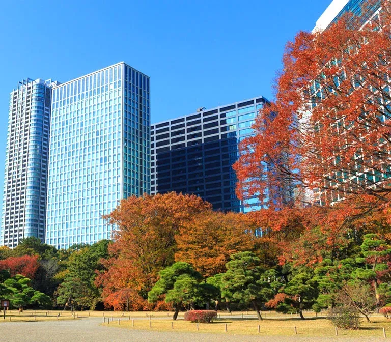 hama-rikyu