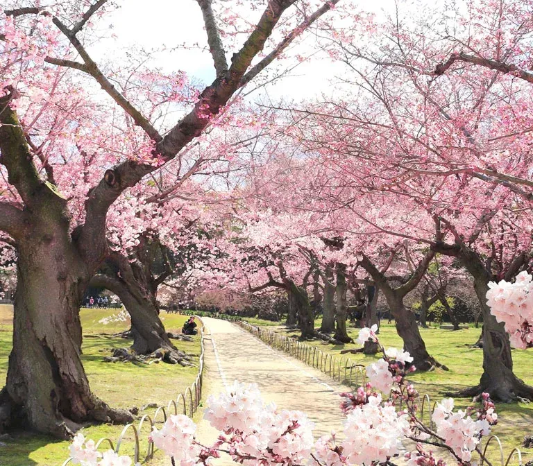 Koishikawa Korakuen